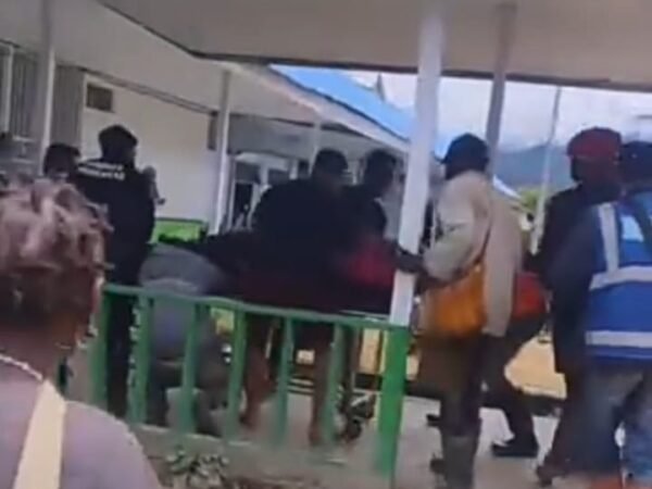 Pekerja Proyek Trans Papua Tewas Ditembak OPM di Intan Jaya