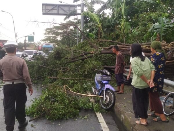 Hujan dan Angin Kencang Terjang Depok, Pohon Tumbang Timpa Mobil dan Motor