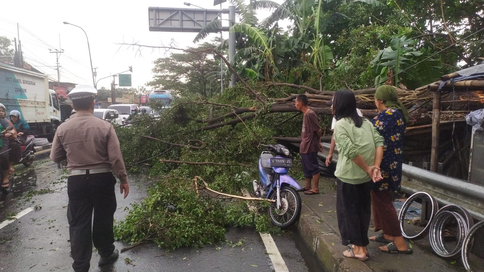 Hujan dan Angin Kencang Terjang Depok, Pohon Tumbang Timpa Mobil dan Motor