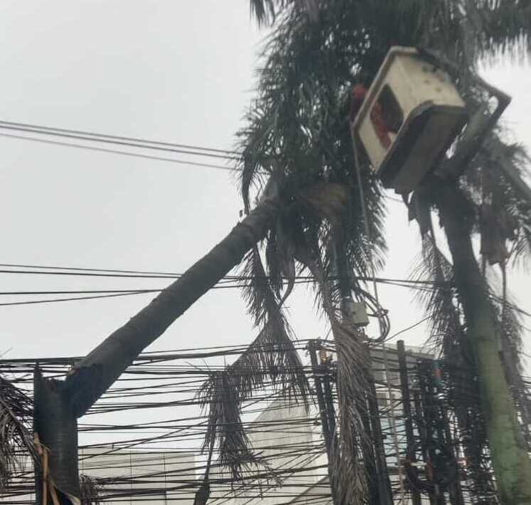 Cuaca Ekstrem Senin Malam di Depok, Sejumlah Pohon Tumbang di Cinere