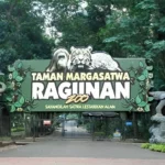 Ragunan Gelar Simulasi Operasional Malam, Siap Sambut Pengunjung “Night at the Ragunan Zoo”