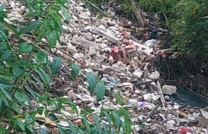 Viral Kali Cipinang Depok Jadi Daratan, Warga Minta Dedi Mulyadi Turun Tangan