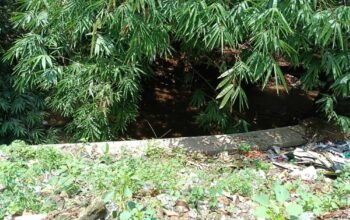 Sampah Menumpuk di SDN Cisalak 1 Depok, Aktivitas Belajar Siswa Terganggu