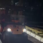 Night at Ragunan Zoo: Wisata Malam Seru Menyusuri Kebun Binatang dan Satwa Nocturnal