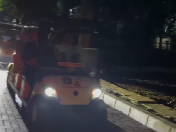 Night at Ragunan Zoo: Wisata Malam Seru Menyusuri Kebun Binatang dan Satwa Nocturnal